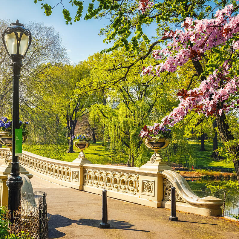places to visit in new york state in spring